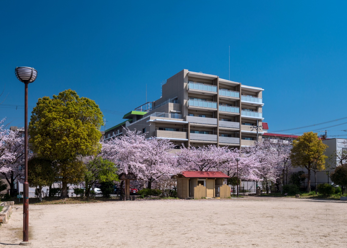 外観（公園より）